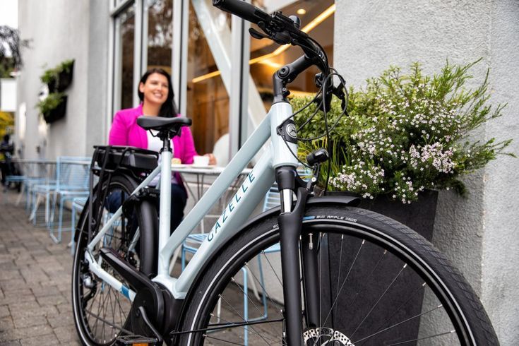 Top 5 Beste Elektrische Fietsen voor Volwassenen van Bosch - News - 6