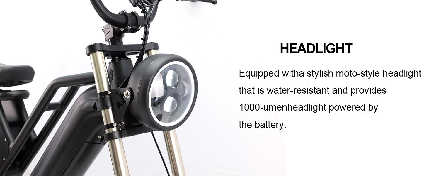 48V 750W Elektrische Fiets met Verwijderbare Batterij – Dubbele Vering, 20x4 Banden en Tot 60 Mijl Bereik - Fat Tire Elektrische Fiets - 4