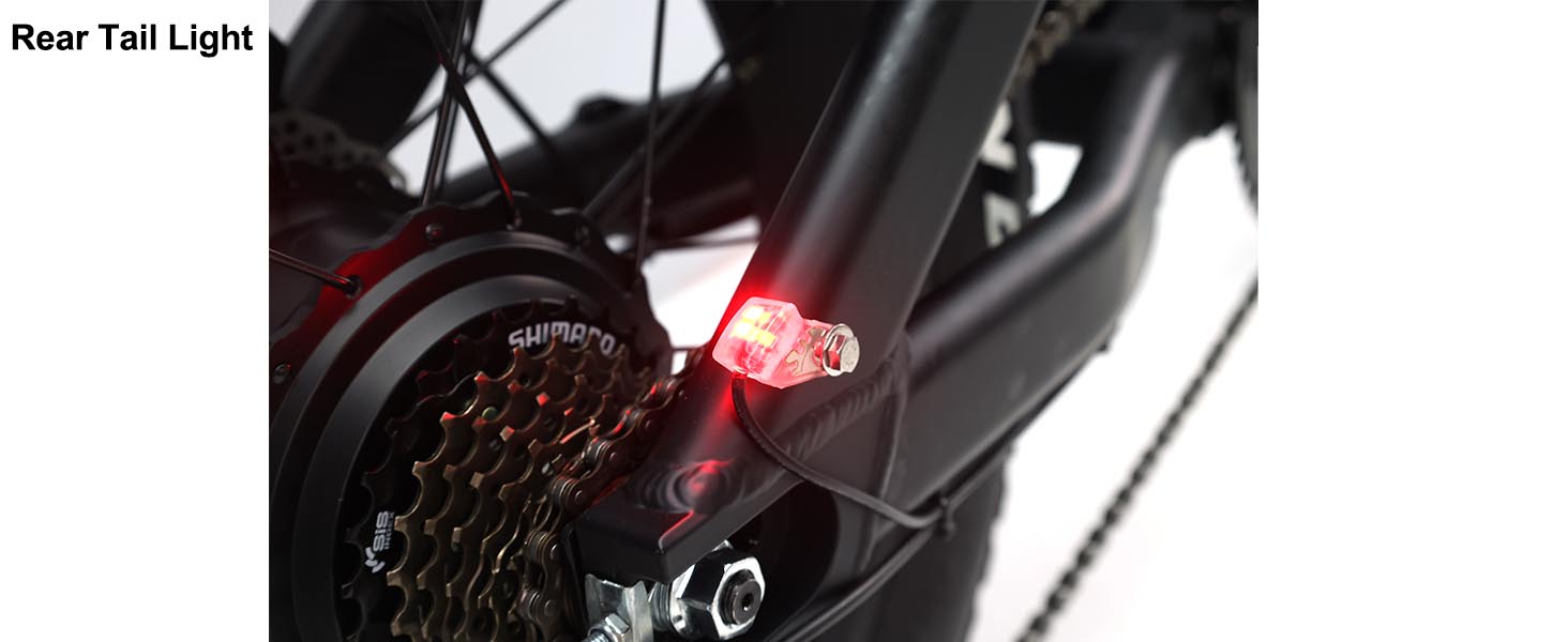 48V 750W Elektrische Fiets met Verwijderbare Batterij – Dubbele Vering, 20x4 Banden en Tot 60 Mijl Bereik - Fat Tire Elektrische Fiets - 6